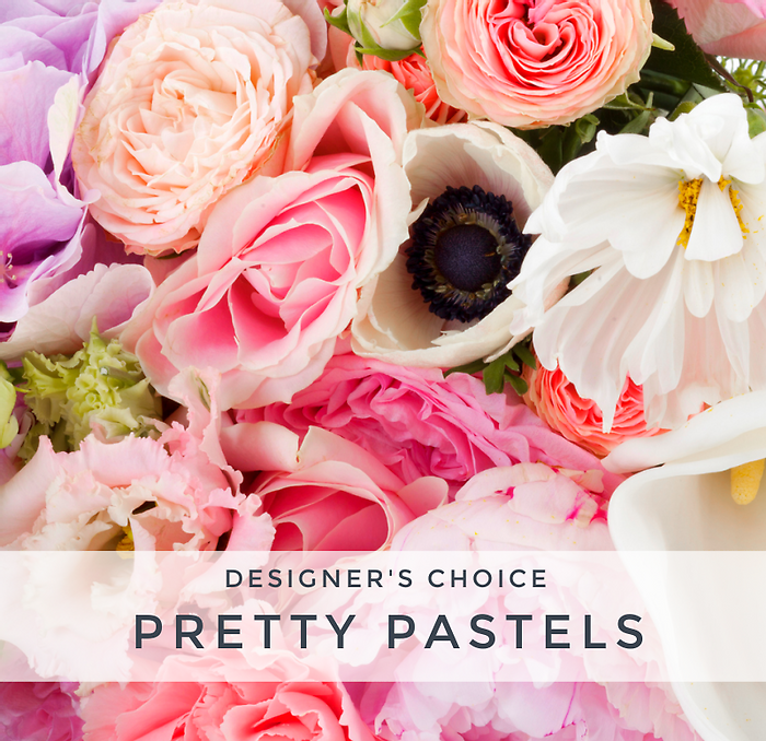 Designer Choice Pastel
