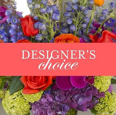 Designers Choice Premium